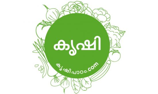 malayalam krishi website Contact