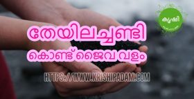 തേയിലച്ചണ്ടി ജൈവ വളം തേയിലച്ചണ്ടി ജൈവ വളം