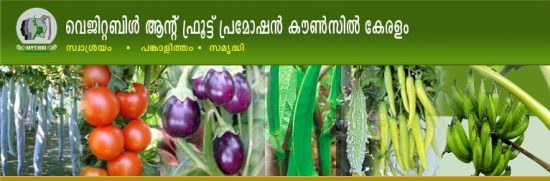 വി എഫ് പി സി കെ - Vegetable and Fruit Promotion Council Keralam വി എഫ് പി സി കെ