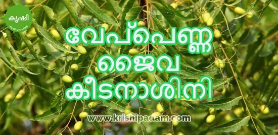 വേപ്പെണ്ണ ജൈവ കീടനാശിനി വേപ്പെണ്ണ ജൈവ കീടനാശിനി