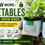 Grow Bags Usage