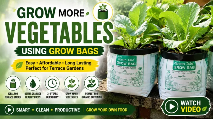 Grow Bags Usage Grow Bags Usage