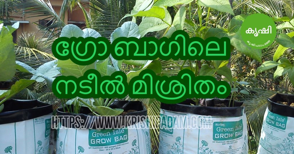 Potting Mixture for Grow Bags