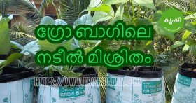 Potting Mixture for Grow Bags Potting Mixture for Grow Bags