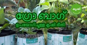 ഗ്രോ ബാഗ് ഗ്രോ ബാഗ്
