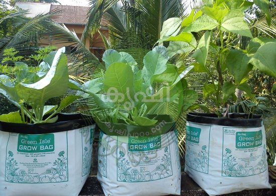 grow bags ഗ്രോ ബാഗ്
