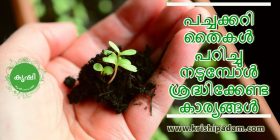 പച്ചക്കറി കൃഷി പച്ചക്കറി കൃഷി