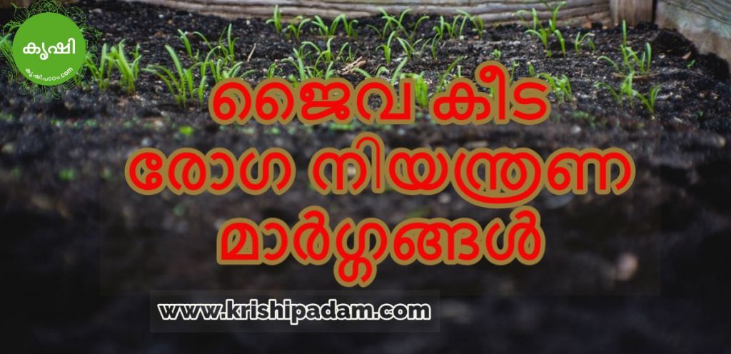ജൈവ കീട രോഗ നിയന്ത്രണ മാര്ഗ്ഗങ്ങള് ജൈവ കീട രോഗ നിയന്ത്രണ മാര്ഗ്ഗങ്ങള്