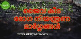ജൈവ കീട രോഗ നിയന്ത്രണ മാര്ഗ്ഗങ്ങള്