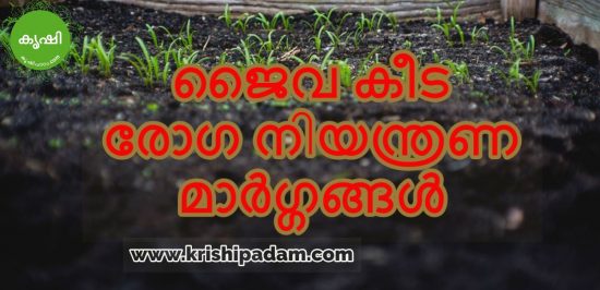ജൈവ കീട രോഗ നിയന്ത്രണ മാര്ഗ്ഗങ്ങള് ജൈവ കീട രോഗ നിയന്ത്രണ മാര്ഗ്ഗങ്ങള്