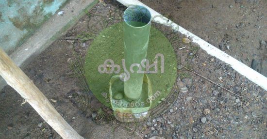 kerala terrace garden stay kerala terrace garden stay