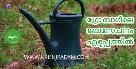 Drip Irrigation at Terrace Garden
