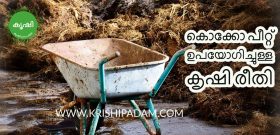 Usage of Coco Peat Usage of Coco Peat