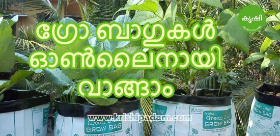 ഗ്രോ ബാഗ് ഓണ്ലൈന് ആയി വാങ്ങാം ഗ്രോ ബാഗ് ഓണ്ലൈന് ആയി വാങ്ങാം