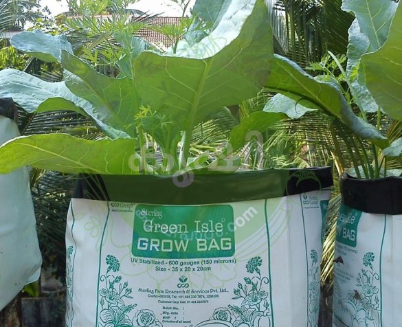 Malayalam Krishi Website For Organic Farming - Krishipadam