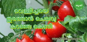 മഞ്ഞക്കെണി മഞ്ഞക്കെണി