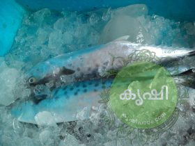 നെന്മീന്‍