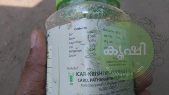 Tomato cultivation kerala tips for better results - തക്കാളി കൃഷി ടിപ്സ്