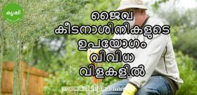 Organic Pesticides Usage
