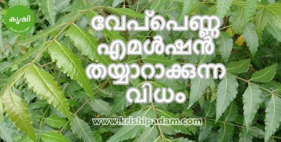 Neem Oil Emulsion Neem Oil Emulsion