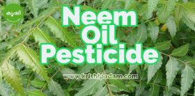 Neem Oil and Garlic Pesticide