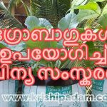 മാലിന്യ സംസ്കരണം ഗ്രോബാഗുകള്‍ ഉപയോഗിച്ച് – Waste Management Using Grow Bags