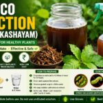 പുകയില കഷായം തയ്യാറാക്കുന്ന വിധം – ജൈവ കീടനാശിനിയുടെ ഉപയോഗങ്ങളും മുൻകരുതലുകളും