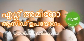 Egg Amino Acid Usage