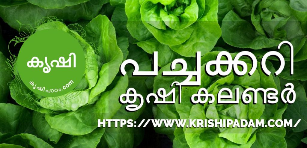 Vegetable Growing Calendar for Kerala Vegetable Growing Calendar for Kerala