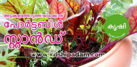 Portable Stand for Terrace Garden - അടുക്കളത്തോട്ടത്തിലേക്കൊരു പോര്ട്ടബിള് സ്റ്റാന്ഡ് portable stand for terrace garden