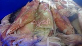 കണവ - കൂന്തല്‍ 