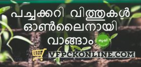 vegetable seeds purchase online