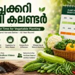 🗓️ പച്ചക്കറി കൃഷി കലണ്ടർ – കേരളത്തിൽ പച്ചക്കറി കൃഷി ചെയ്യാൻ ഏറ്റവും അനുയോജ്യമായ സമയം