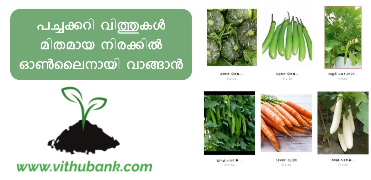 Purchase Vegetable Seeds Online