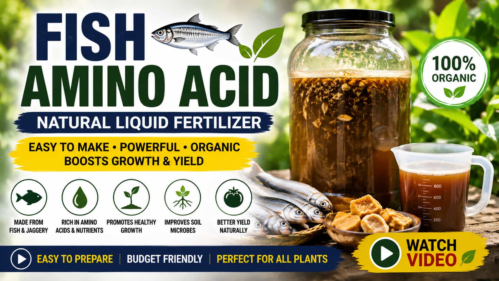 Fish Amino Acid (FAA) – How to Prepare and Use This Organic Liquid Fertilizer