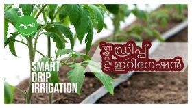 സ്മാര്‍ട്ട്‌ ഡ്രിപ്പ് ഇറിഗേഷന്‍ 