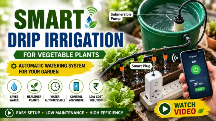 Smart Drip Irrigation System for Terrace Gardens – Automatic Watering for Vegetable Plants Smart Drip Irrigation System for Terrace Gardens – Automatic Watering for Vegetable Plants