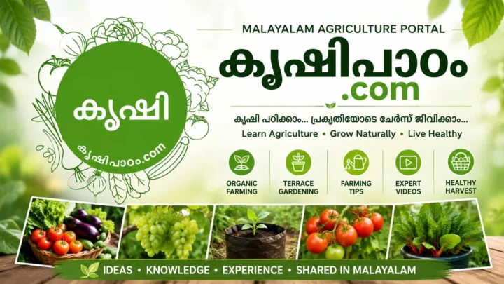 🌱 കൃഷിപാഠം from Anish KS – മലയാളം കാർഷിക വിജ്ഞാന പോർട്ടൽ