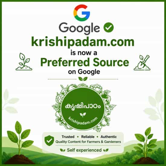 Add As Preferred Source on Google